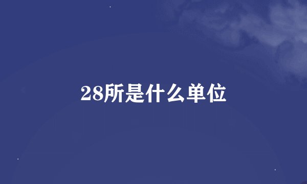 28所是什么单位