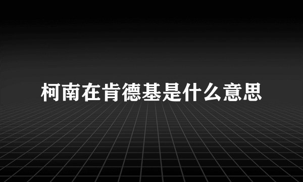 柯南在肯德基是什么意思