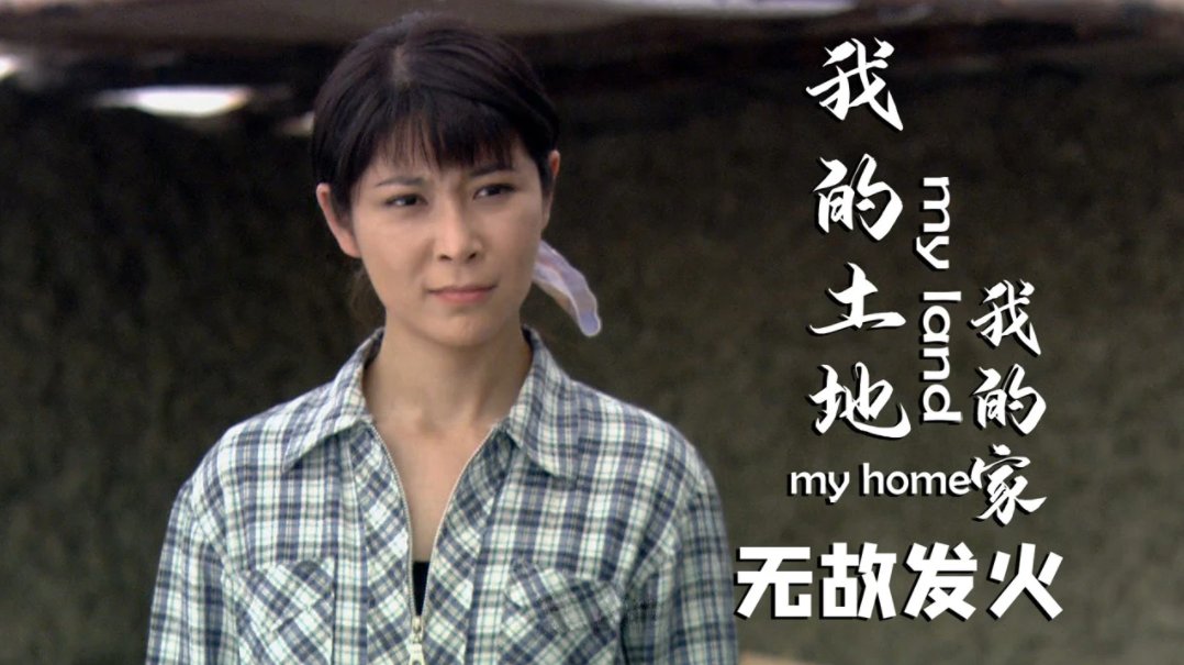 张二丹主演的电视剧
