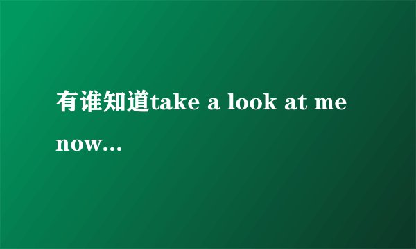 有谁知道take a look at me now的歌词啊