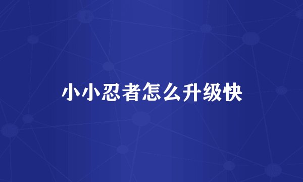 小小忍者怎么升级快
