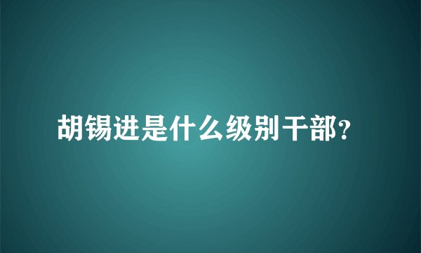 胡锡进是什么级别干部？