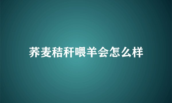荞麦秸秆喂羊会怎么样