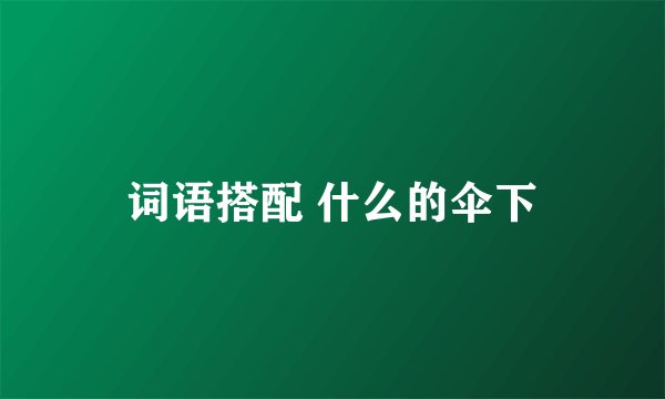 词语搭配 什么的伞下