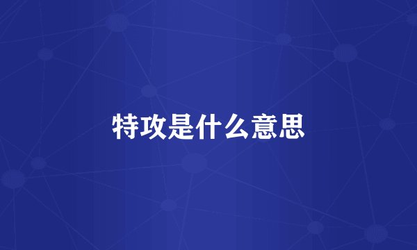 特攻是什么意思