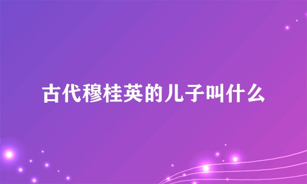 古代穆桂英的儿子叫什么