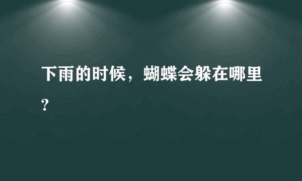 下雨的时候，蝴蝶会躲在哪里？