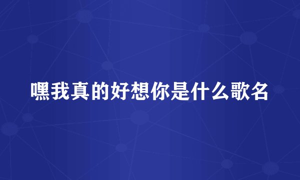 嘿我真的好想你是什么歌名