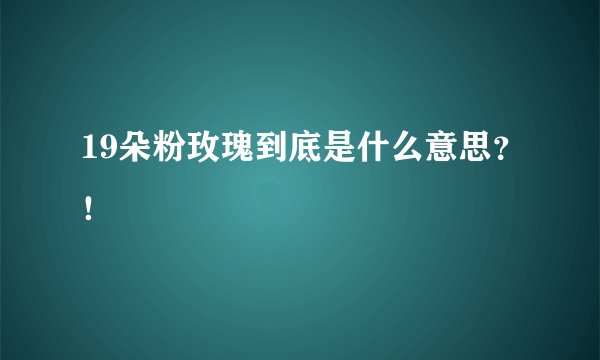 19朵粉玫瑰到底是什么意思?!