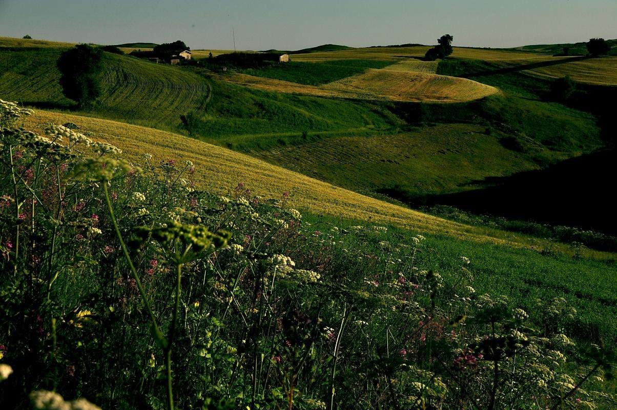 一英亩等于多少亩？