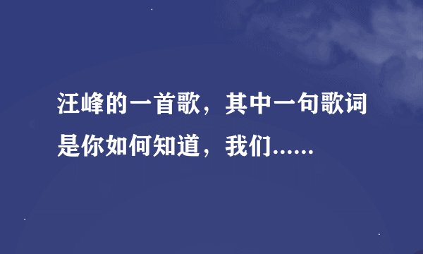 汪峰的一首歌，其中一句歌词是你如何知道，我们.......,请问是什么歌曲？