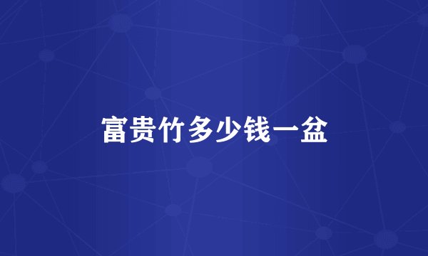 富贵竹多少钱一盆