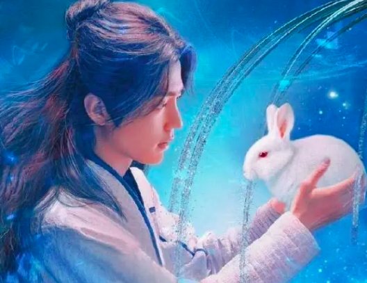 电视剧《斗罗大陆》有哪些主演？
