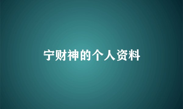 宁财神的个人资料