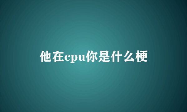他在cpu你是什么梗