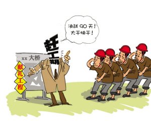 依法行政的基本要求