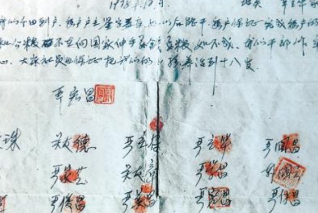 分田到户是哪一年？
