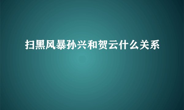 扫黑风暴孙兴和贺云什么关系