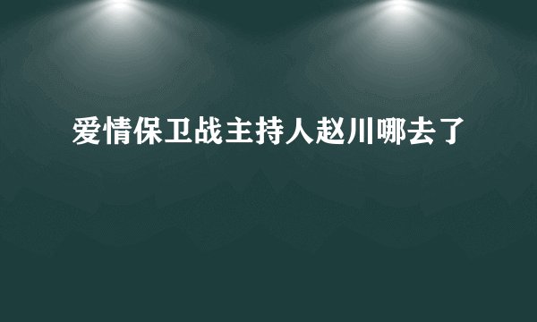 爱情保卫战主持人赵川哪去了