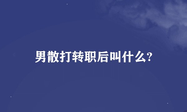 男散打转职后叫什么?