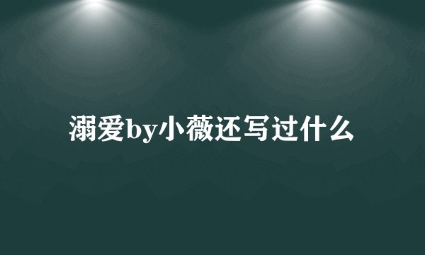 溺爱by小薇还写过什么