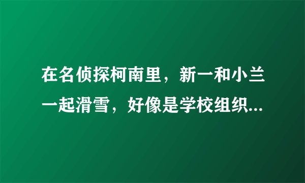 在名侦探柯南里，新一和小兰一起滑雪，好像是学校组织的。。有扮演角色的情节。请问是在哪集