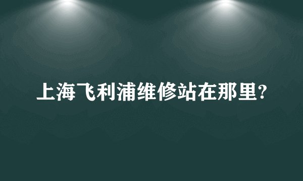 上海飞利浦维修站在那里?
