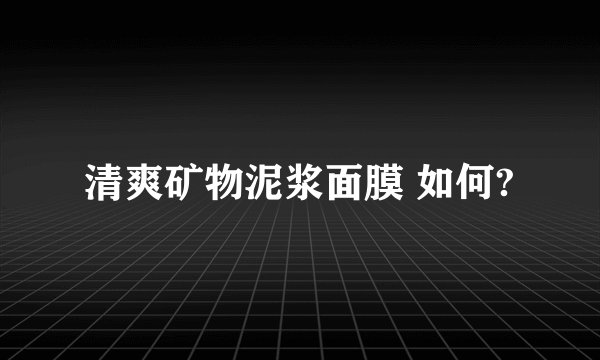 清爽矿物泥浆面膜 如何?