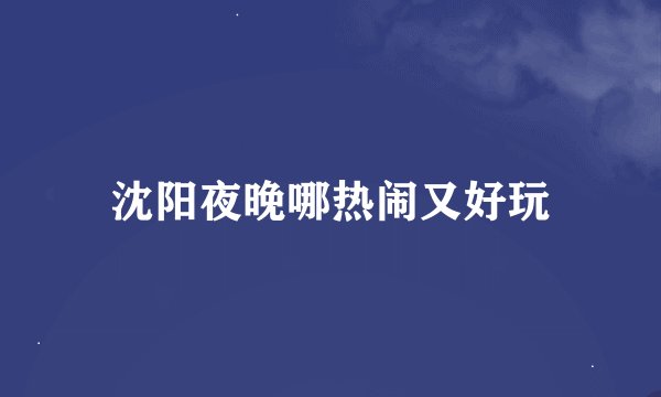 沈阳夜晚哪热闹又好玩
