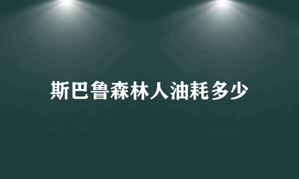 斯巴鲁森林人油耗多少