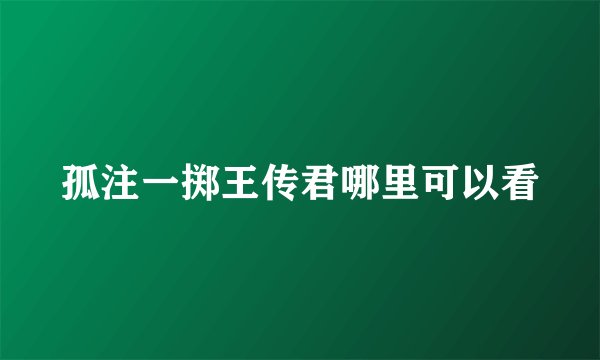 孤注一掷王传君哪里可以看