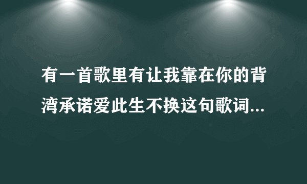 有一首歌里有让我靠在你的背湾承诺爱此生不换这句歌词，是什么歌，求答案