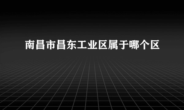 南昌市昌东工业区属于哪个区