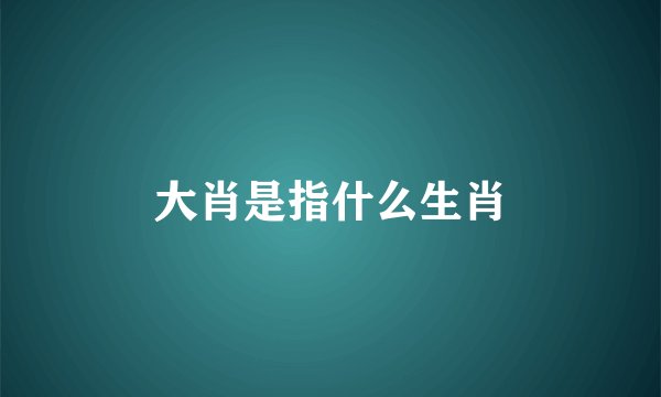 大肖是指什么生肖
