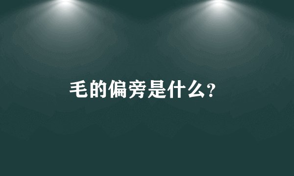 毛的偏旁是什么？