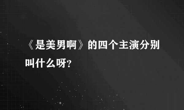 《是美男啊》的四个主演分别叫什么呀？