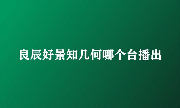 良辰好景知几何哪个台播出
