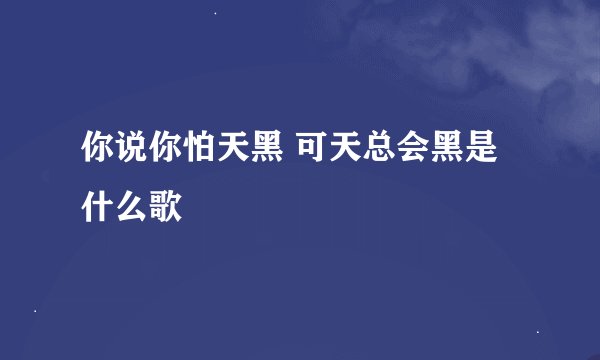 你说你怕天黑 可天总会黑是什么歌