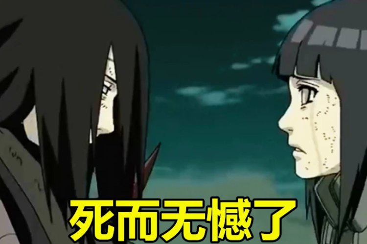 死而无憾的意思
