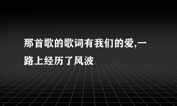 那首歌的歌词有我们的爱,一路上经历了风波