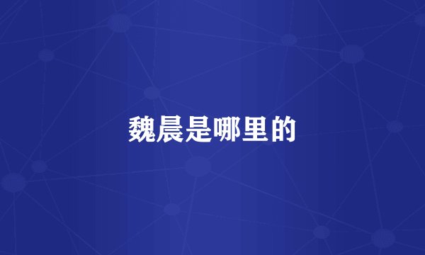 魏晨是哪里的