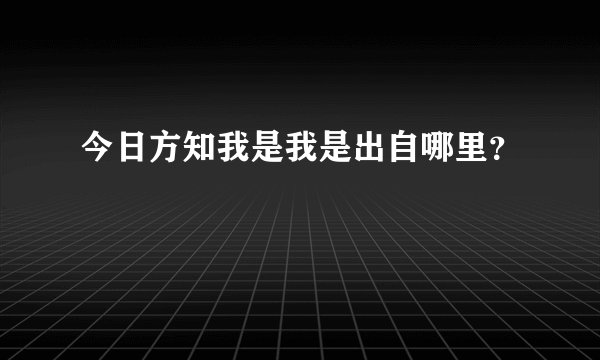 今日方知我是我是出自哪里？