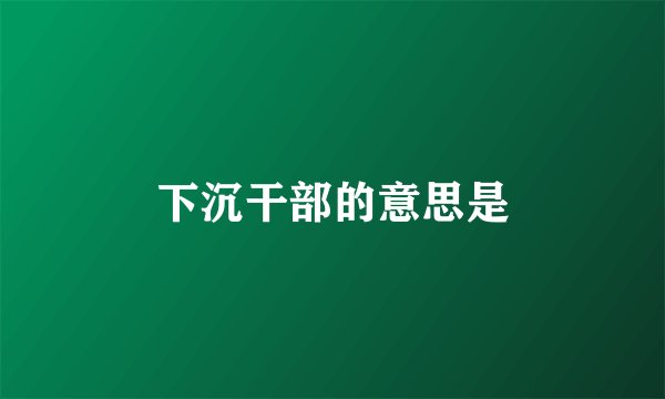 下沉干部的意思是