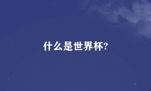 什么是世界杯?