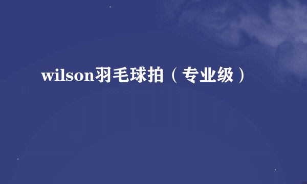wilson羽毛球拍（专业级）