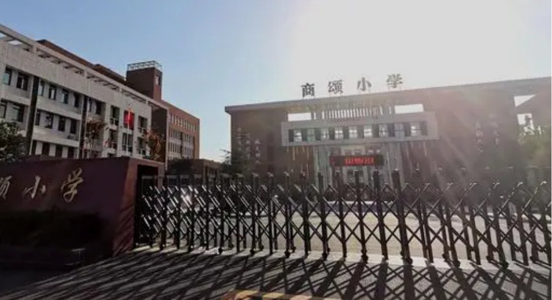怎么查询小学考试分数？
