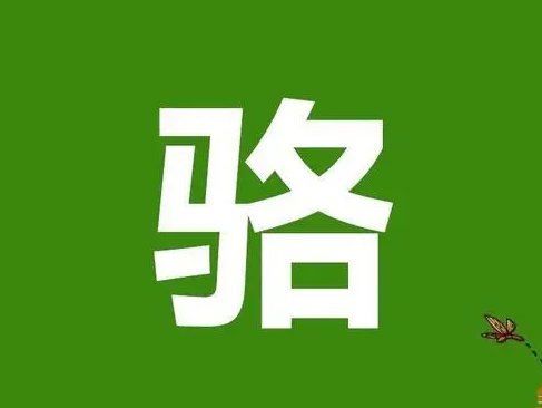 骆的拼音组词