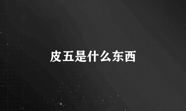 皮五是什么东西