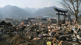 台湾花莲清晨接连地震20次，地震频发的原因是什么？