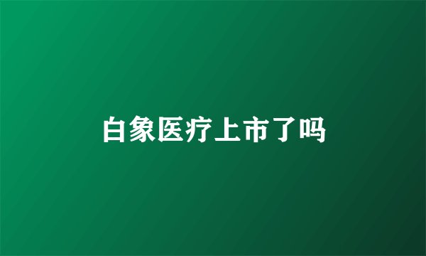 白象医疗上市了吗